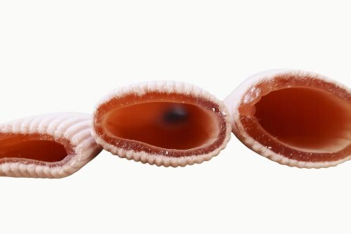 Infracare Gel Toe-Tubing